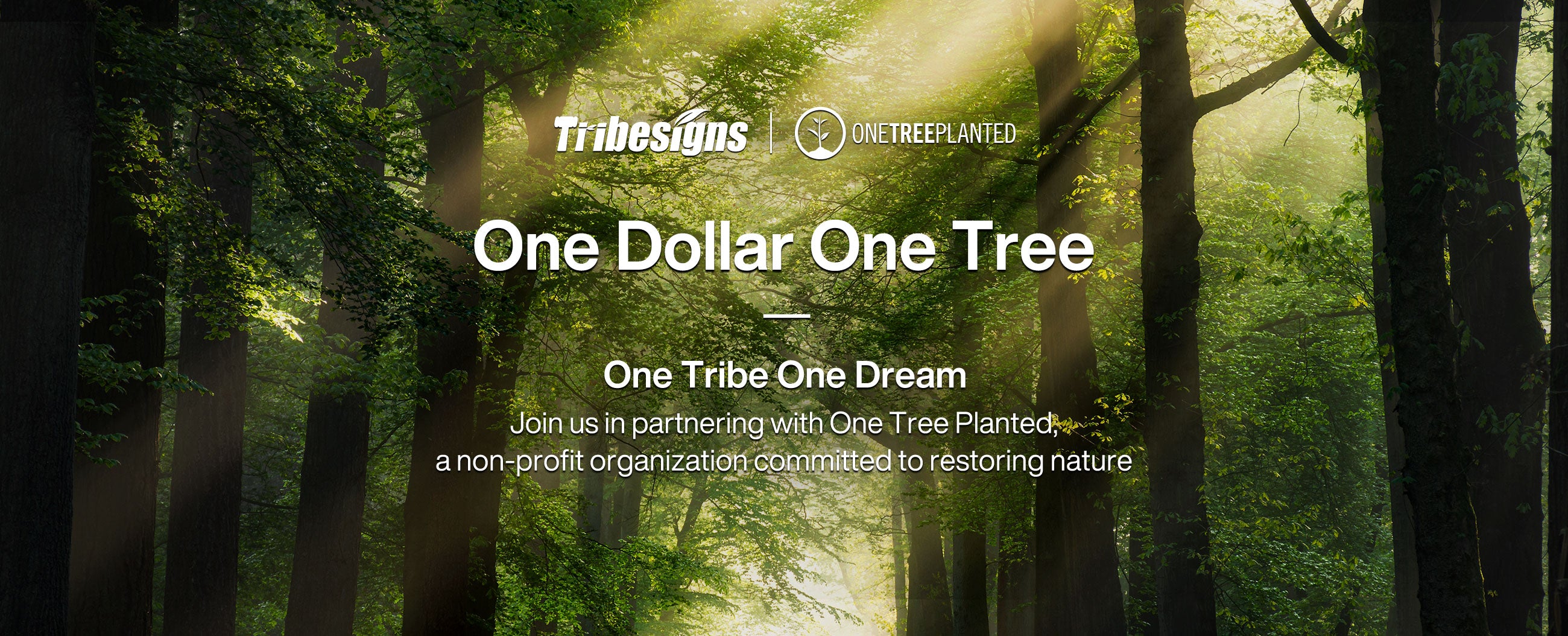 Tribesigns ha piantato 19.000 alberi attraverso la partnership di riforestazione One Tree Planted